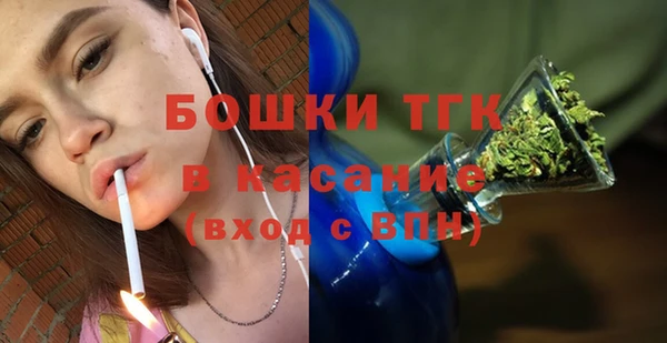 МДПВ Богородск