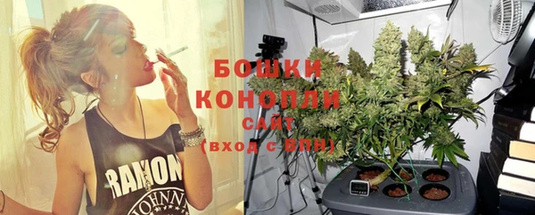 ГАЛЛЮЦИНОГЕННЫЕ ГРИБЫ Богородицк