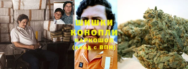 ГАЛЛЮЦИНОГЕННЫЕ ГРИБЫ Богородицк