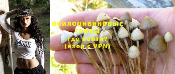 ГАЛЛЮЦИНОГЕННЫЕ ГРИБЫ Богородицк
