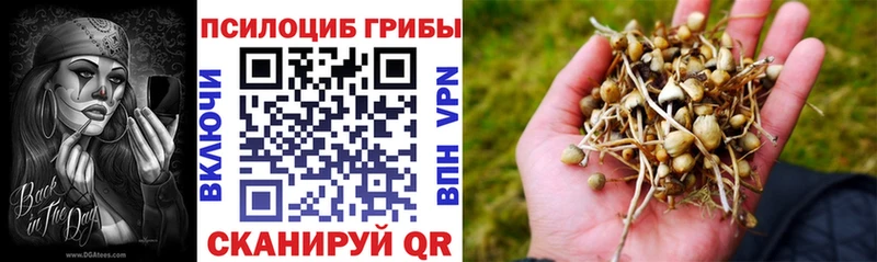 сайты даркнета как зайти  Краснотурьинск  Галлюциногенные грибы мухоморы  магазин продажи  